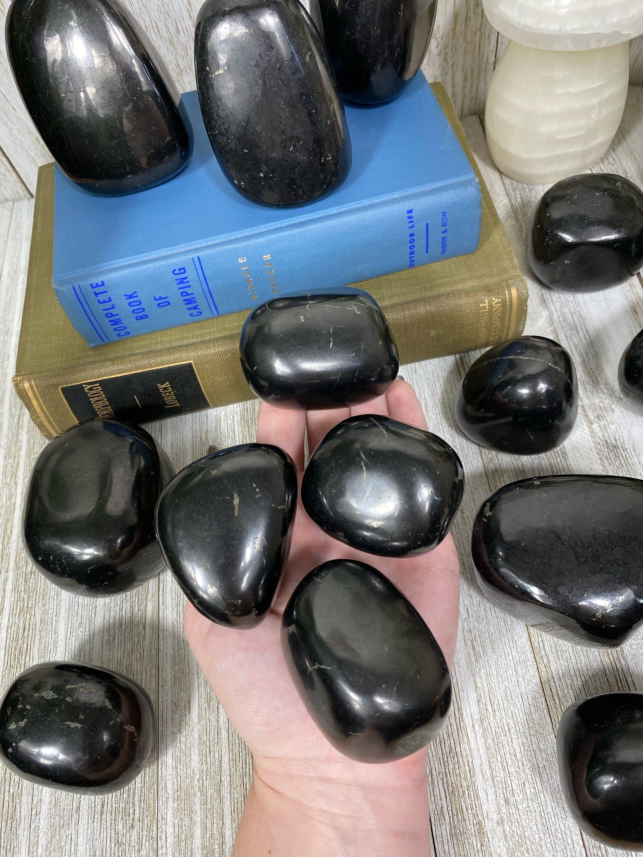Shungite Polished Freeform Curious Muse Crystals