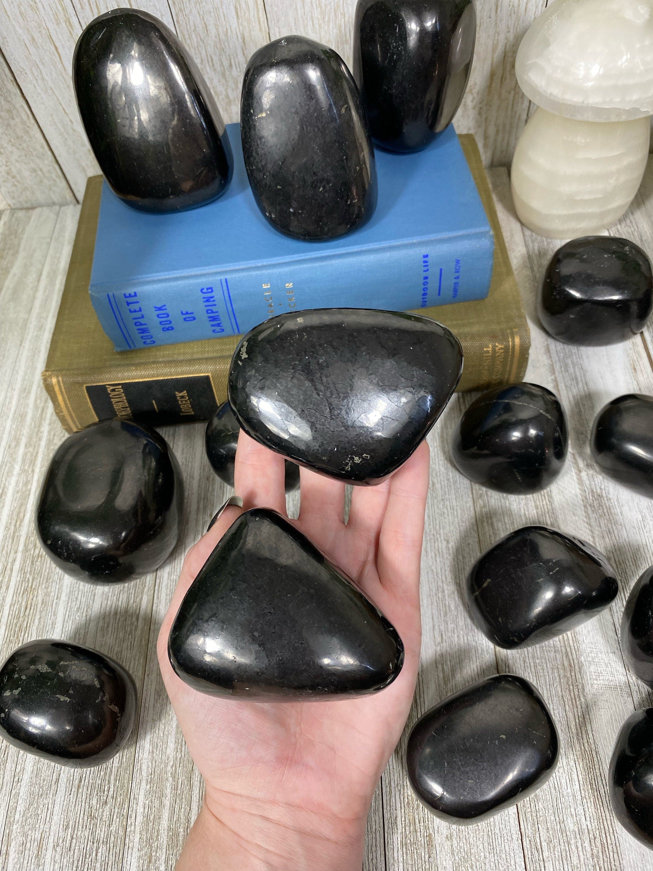 Shungite Polished Freeform Curious Muse Crystals