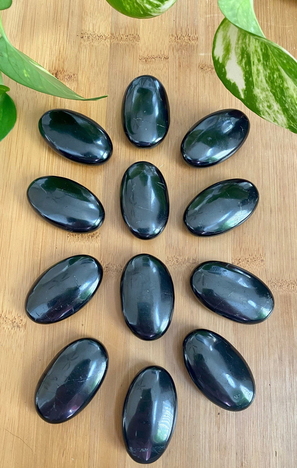 Shungite Palm Stone - Genuine Russian Shungite Curious Muse Crystals