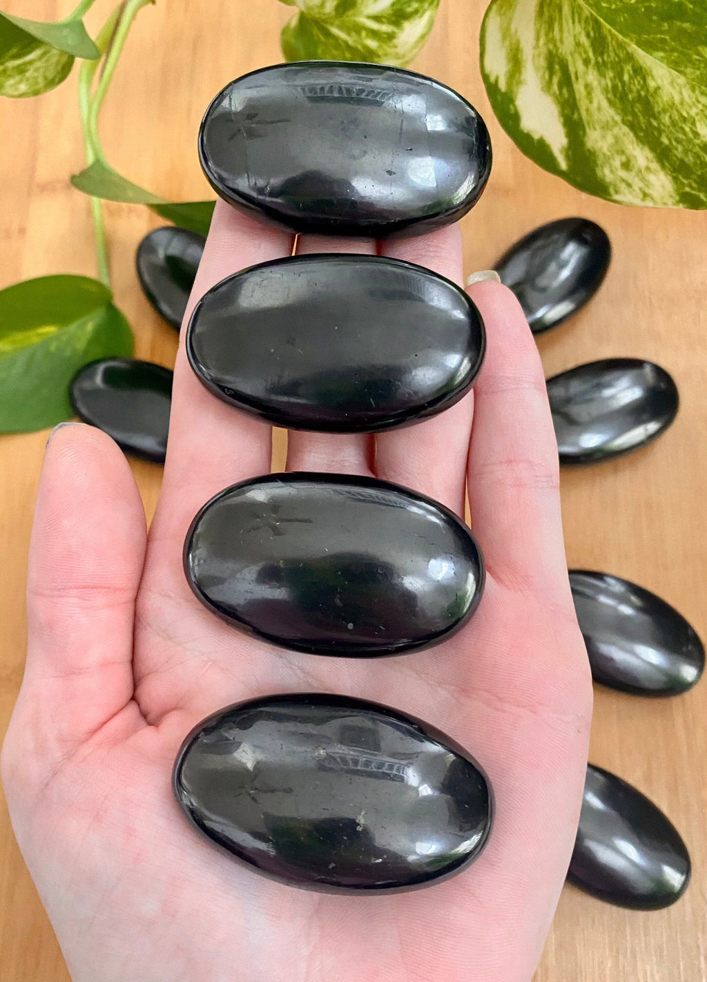 Shungite Palm Stone - Genuine Russian Shungite Curious Muse Crystals