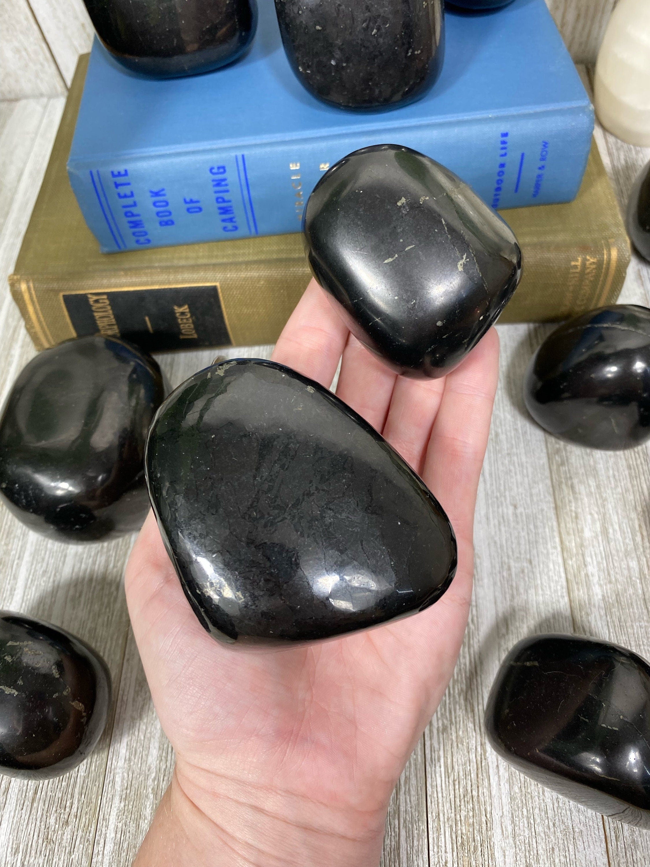 Shungite Polished Freeform Curious Muse Crystals