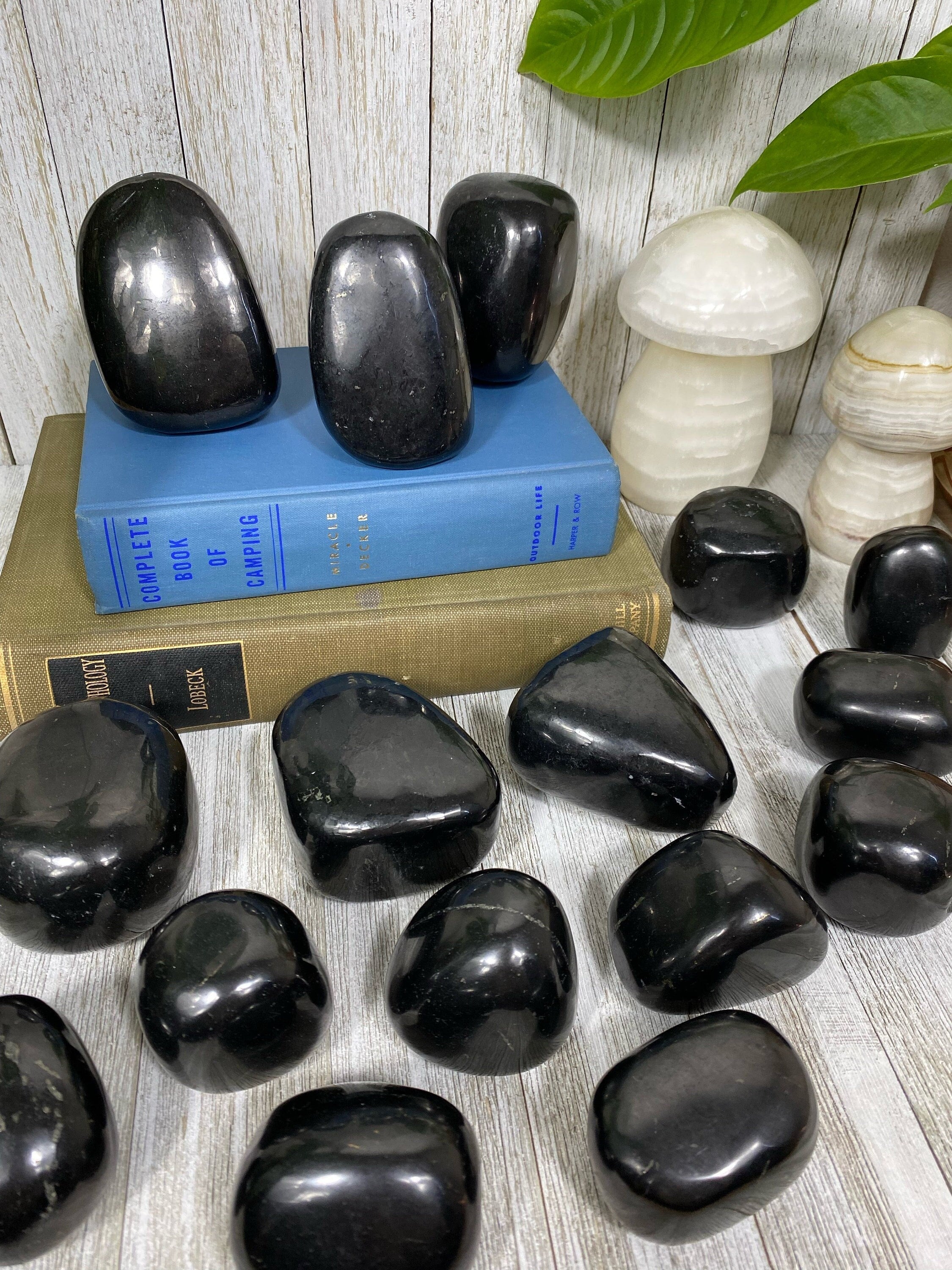 Shungite Polished Freeform Curious Muse Crystals