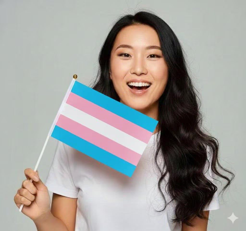 Small Transgender Flags on a Stick The Awareness Company