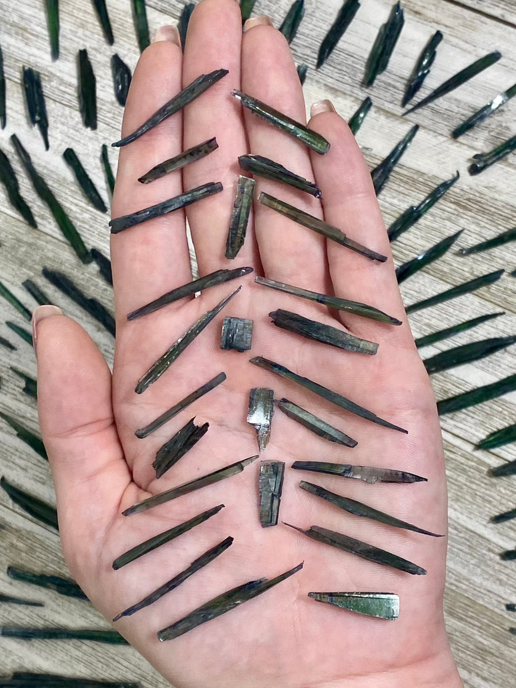 Vivianite Blades - Spiritual Awareness Curious Muse Crystals