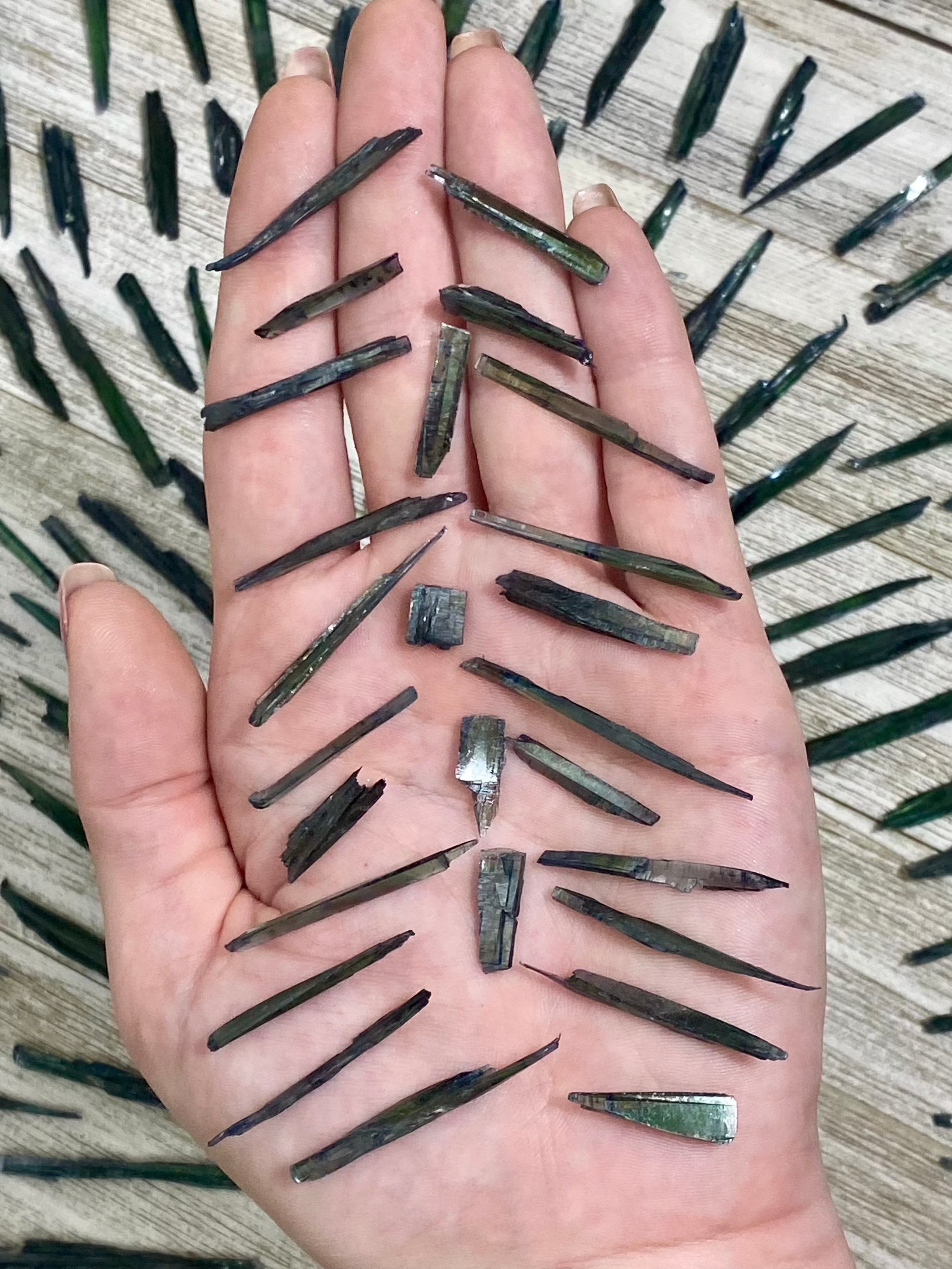 Vivianite Blades - Spiritual Awareness Curious Muse Crystals