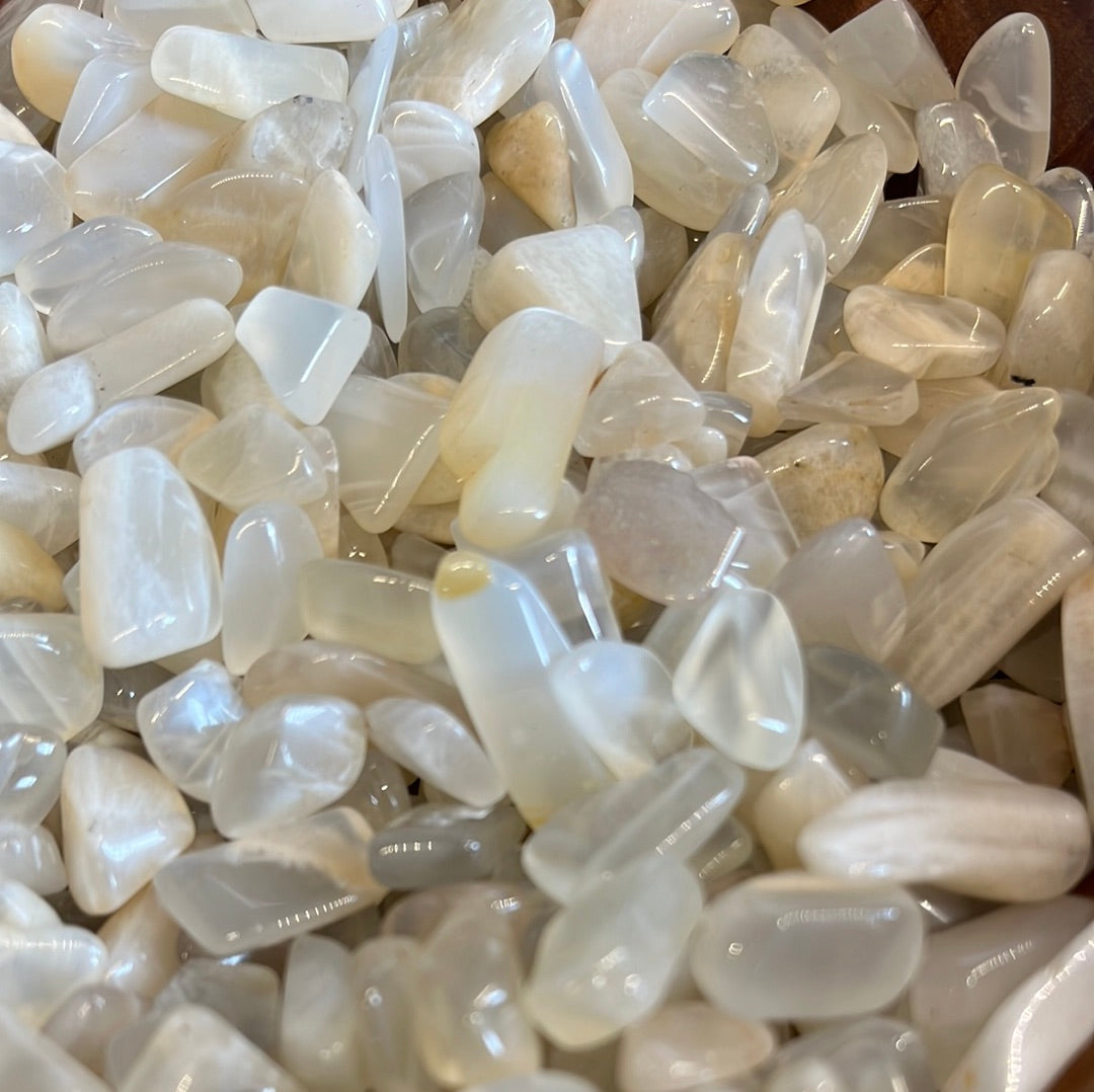 White Moonstone Chips - 2 Small Healing Stones for Energy and Balance High Ho Gems and Crystals