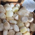 Pineapple Calcite Tumbled Gemstone from Pakistan - Natural Healing Crystal High Ho Gems and Crystals