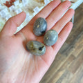 Labradorite (Manifestation) Tumbled White Mountain Crystals