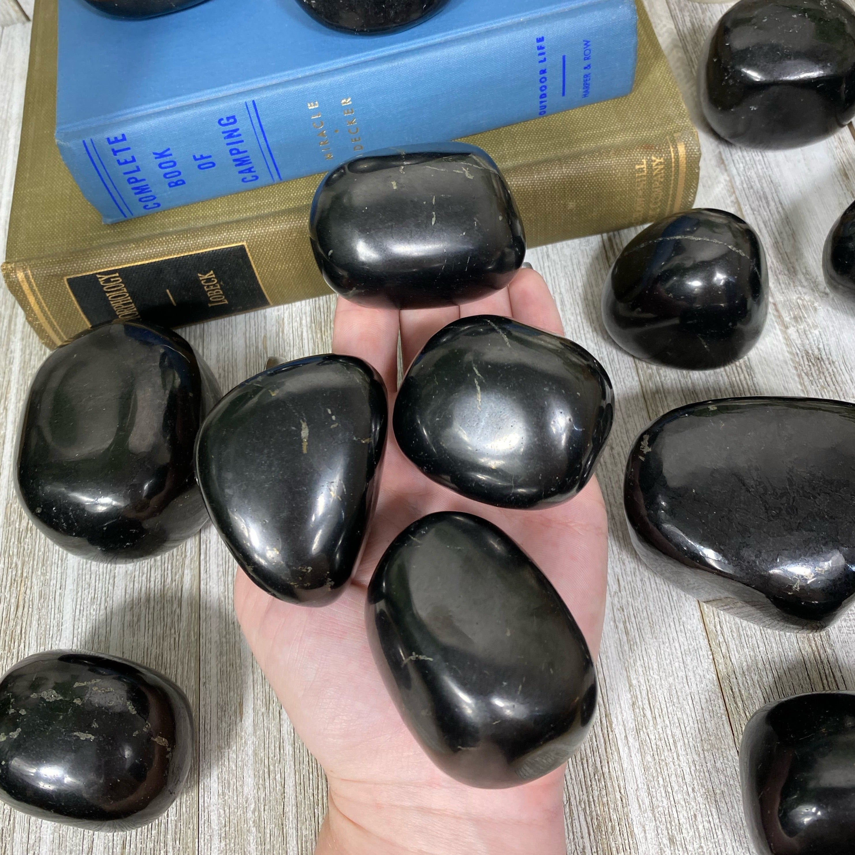 Shungite Polished Freeform Curious Muse Crystals