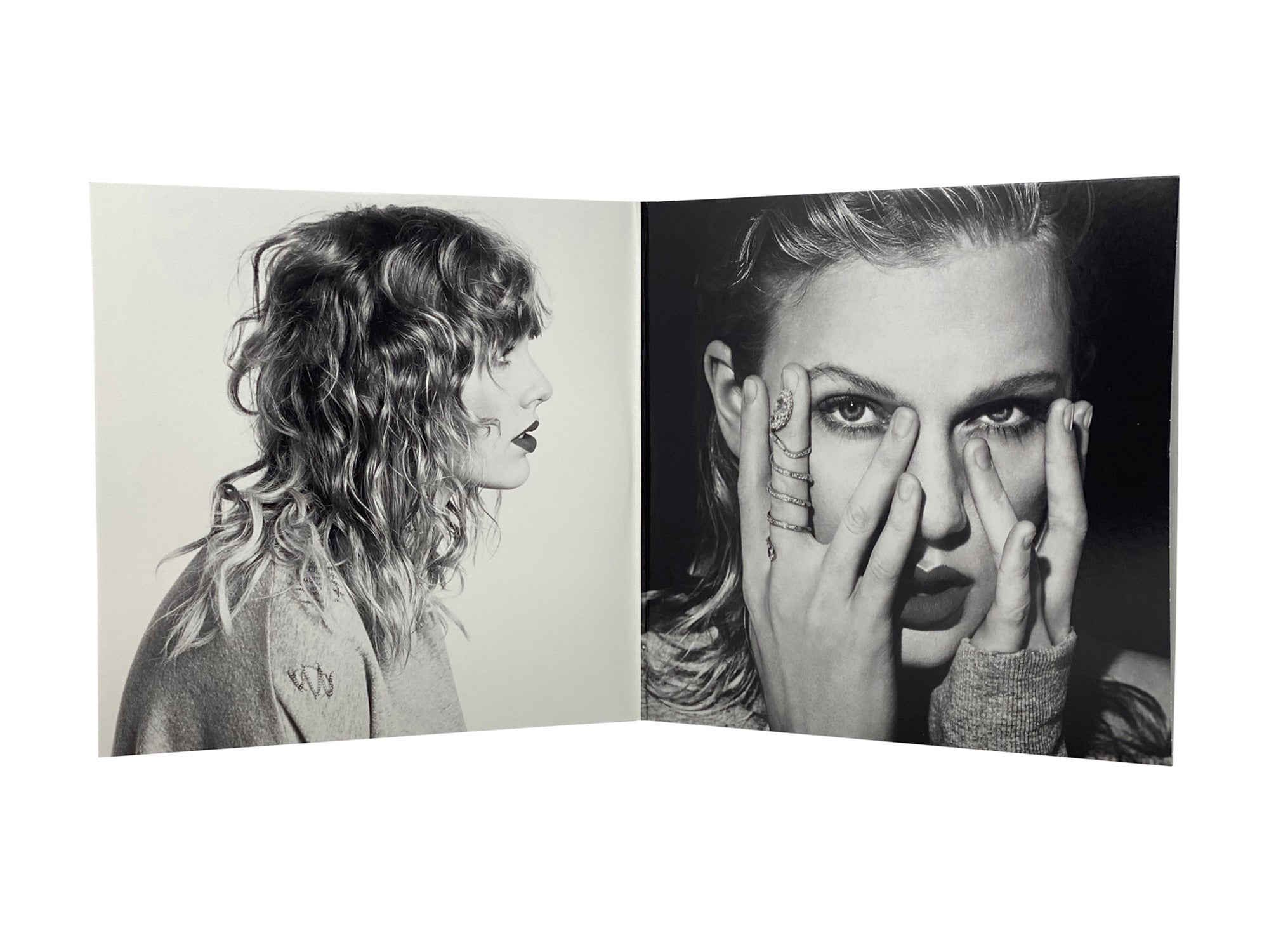 Taylor Swift - Reputation (Limited Edition Double Picture Disc Vinyl) Pale Blue Dot Records