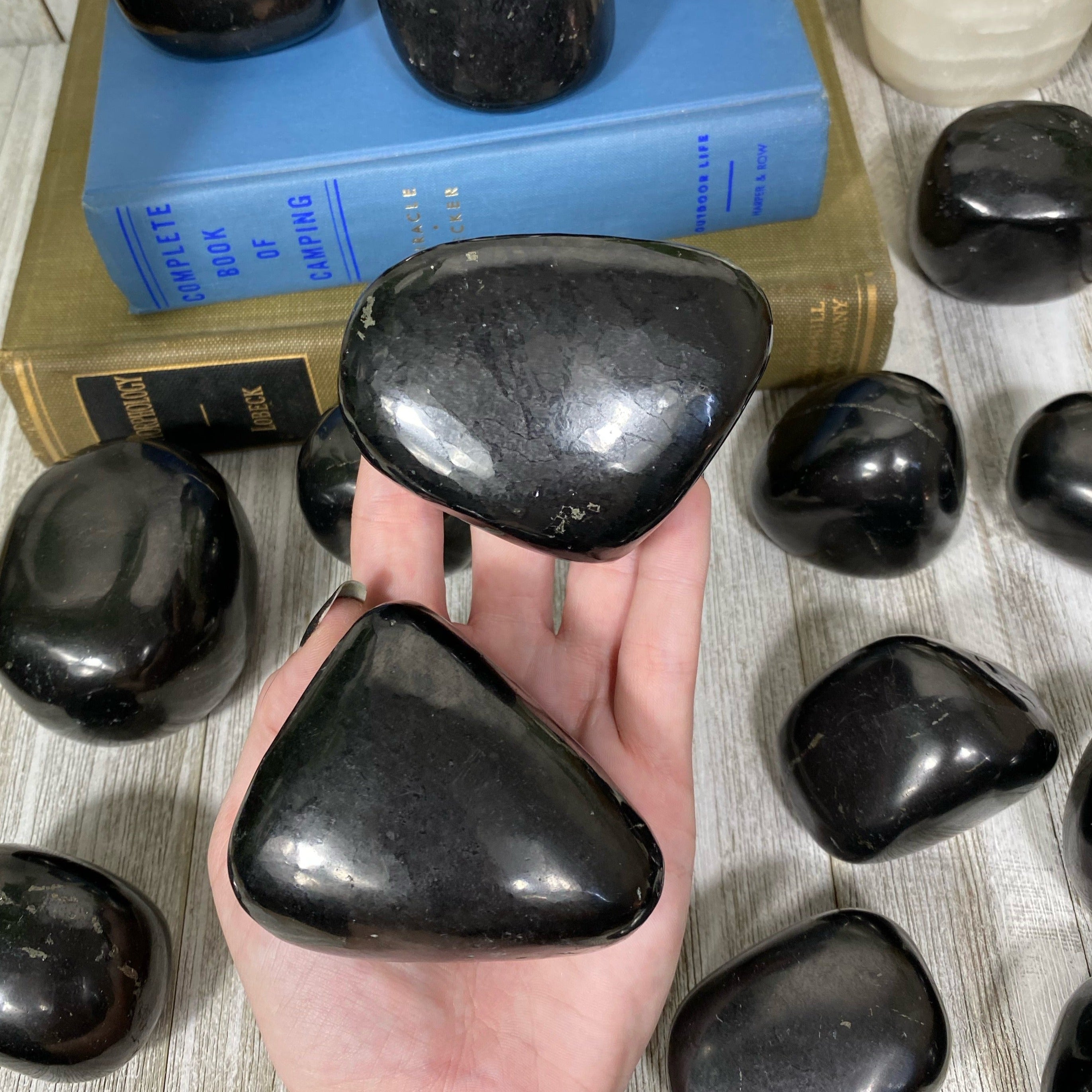 Shungite Polished Freeform Curious Muse Crystals