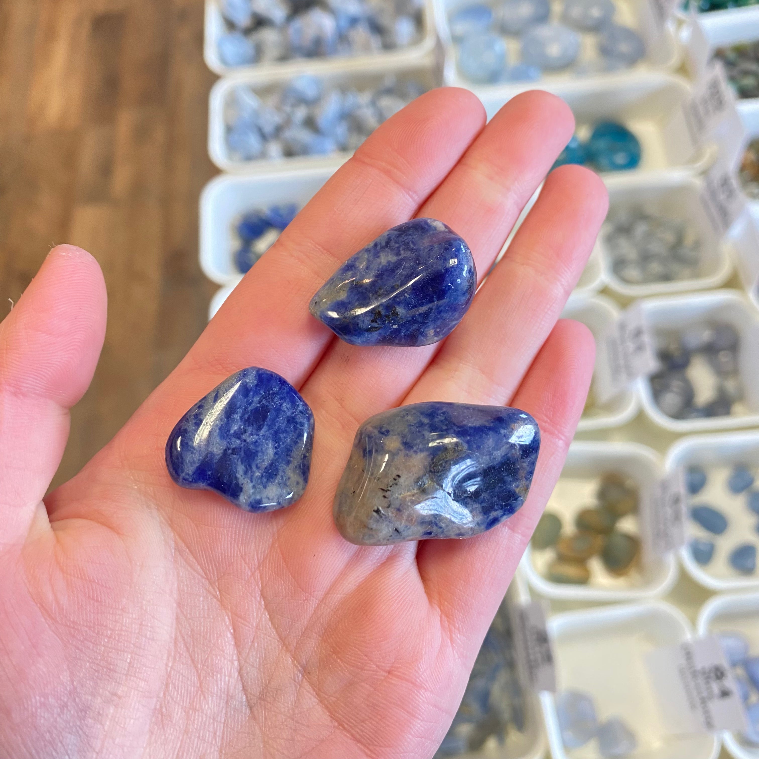 Sodalite (Concentration) Tumbled White Mountain Crystals