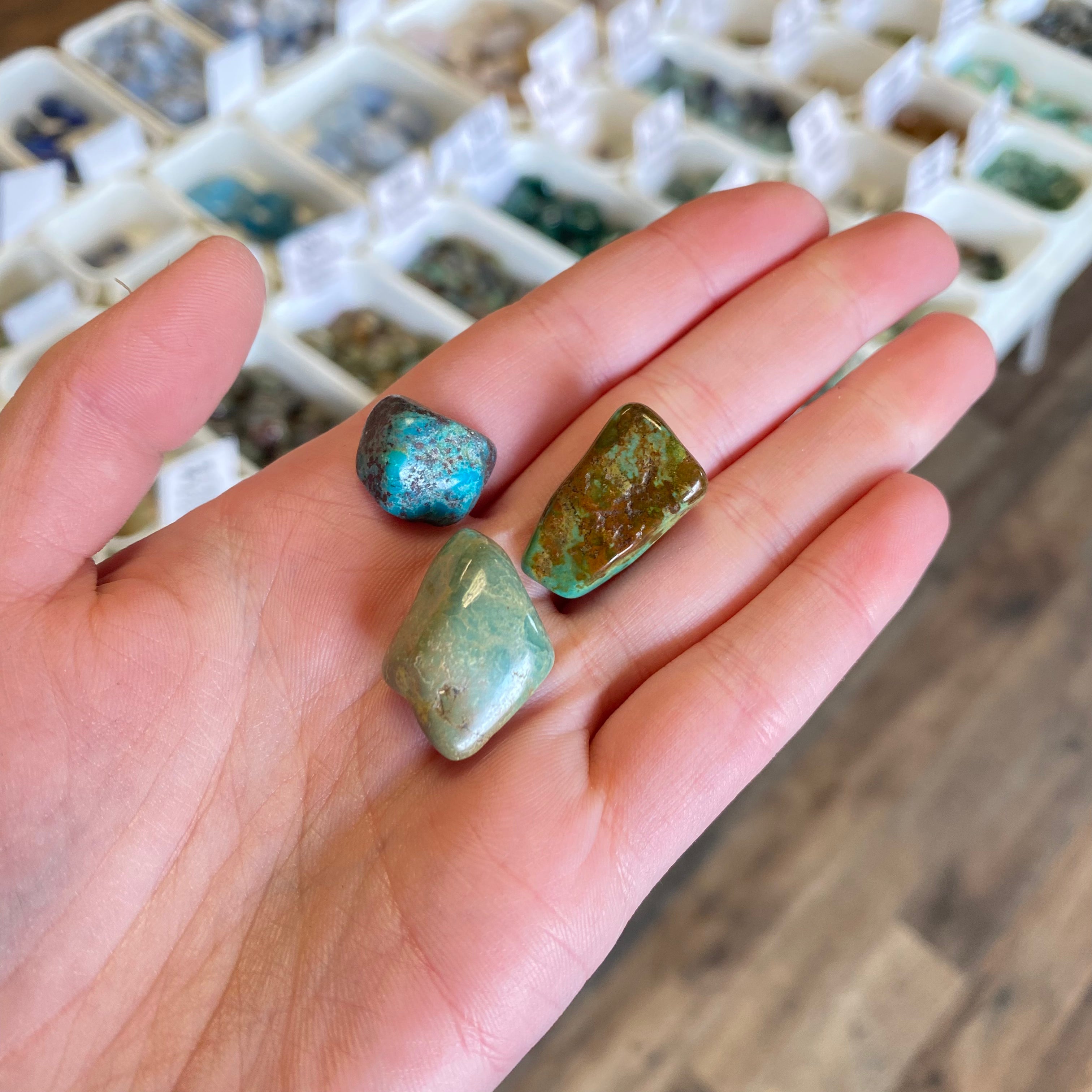 Turquoise (Authenticity) Tumbled White Mountain Crystals