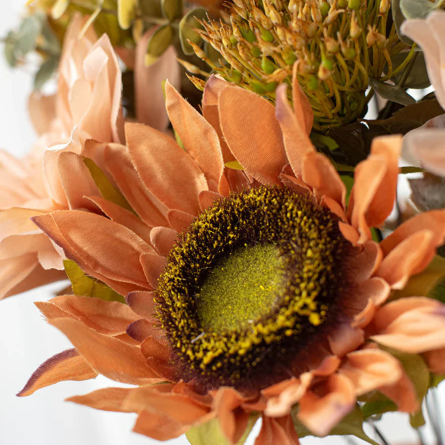 Peach Blush Sunflower Seeds – Soft, Warm-Toned Blooms for Gardens & Bouquets organicindiaseeds