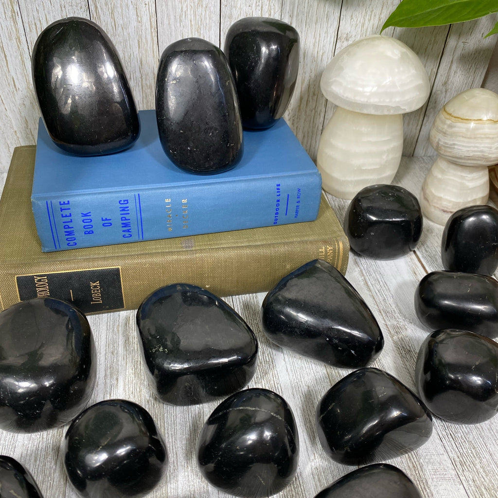 Shungite Polished Freeform Curious Muse Crystals
