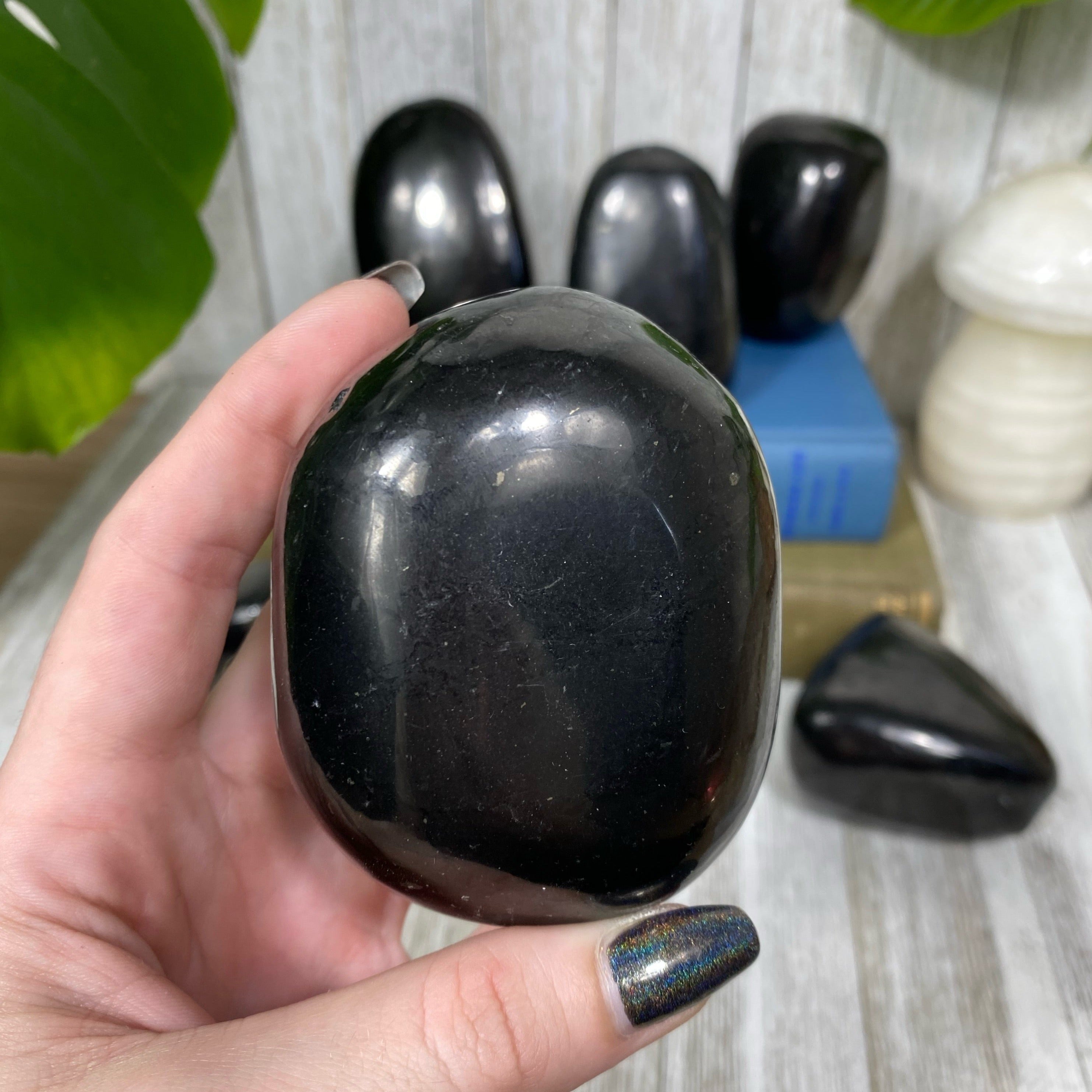 Shungite Polished Freeform Curious Muse Crystals