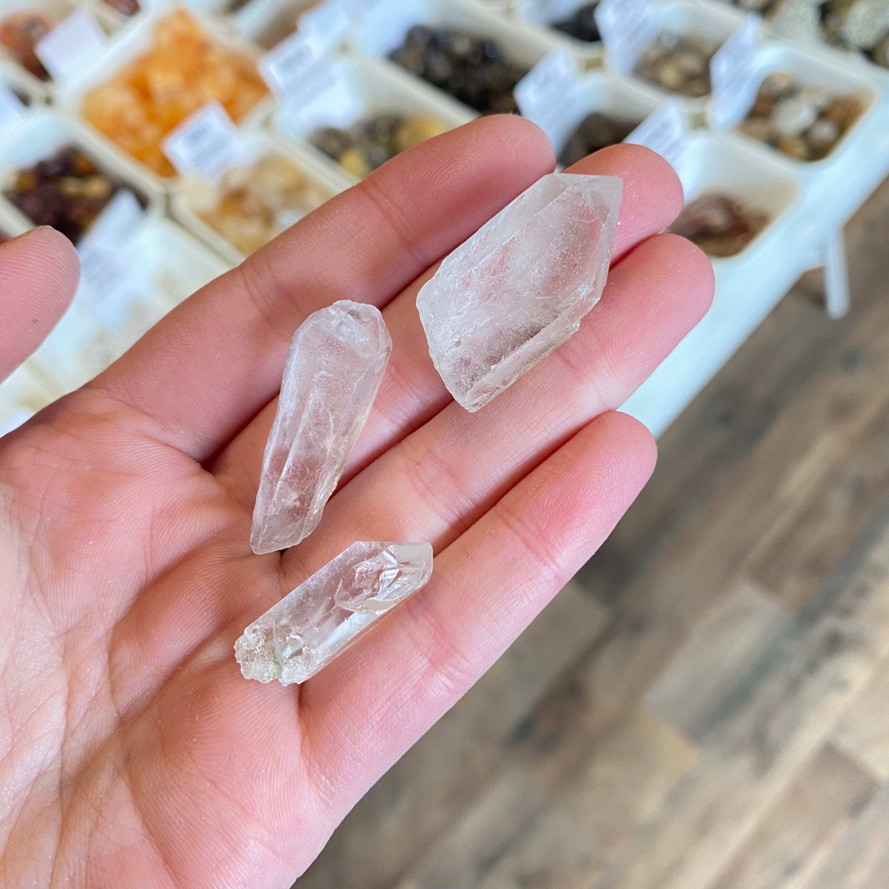 Clear Quartz (Amplification) Rough S White Mountain Crystals