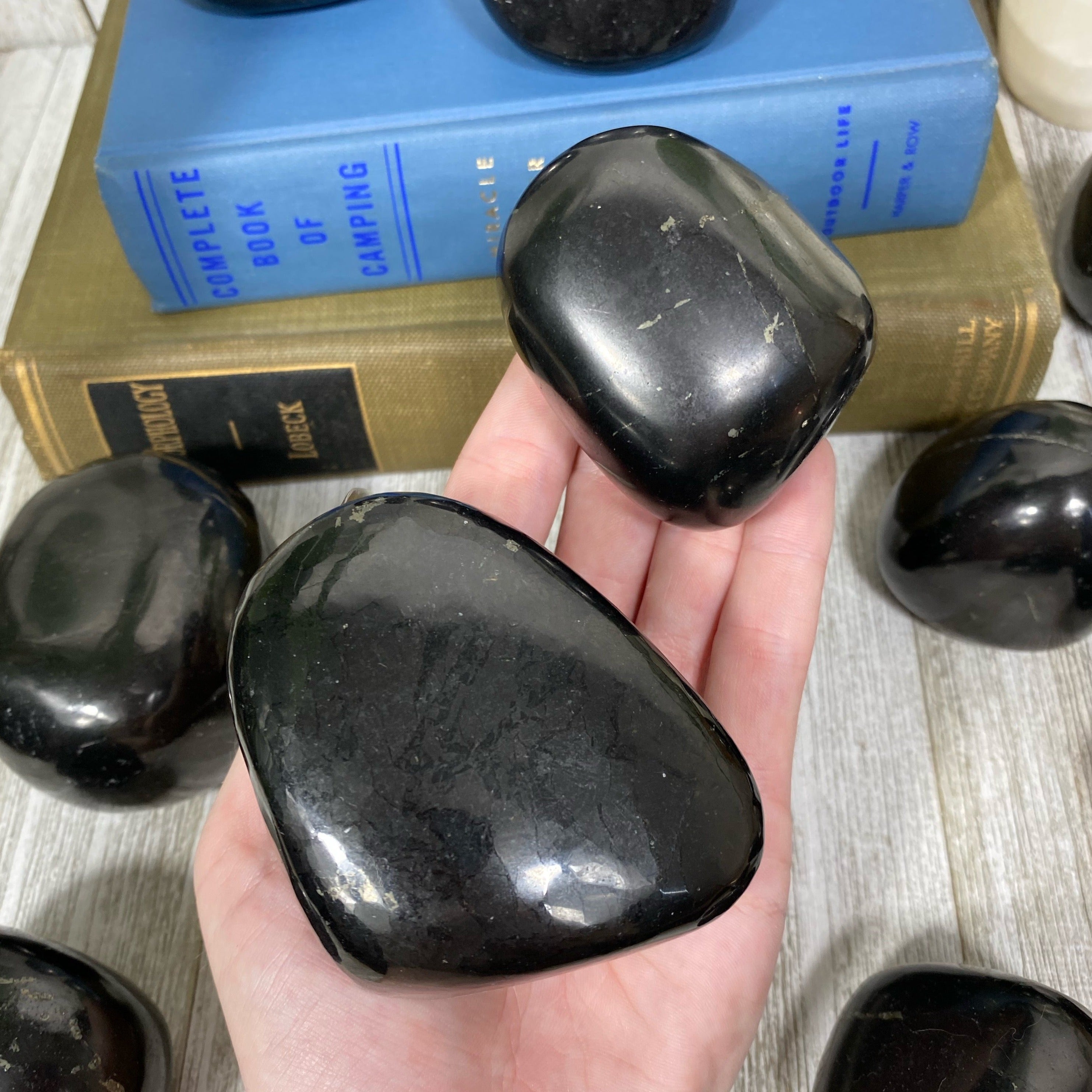 Shungite Polished Freeform Curious Muse Crystals