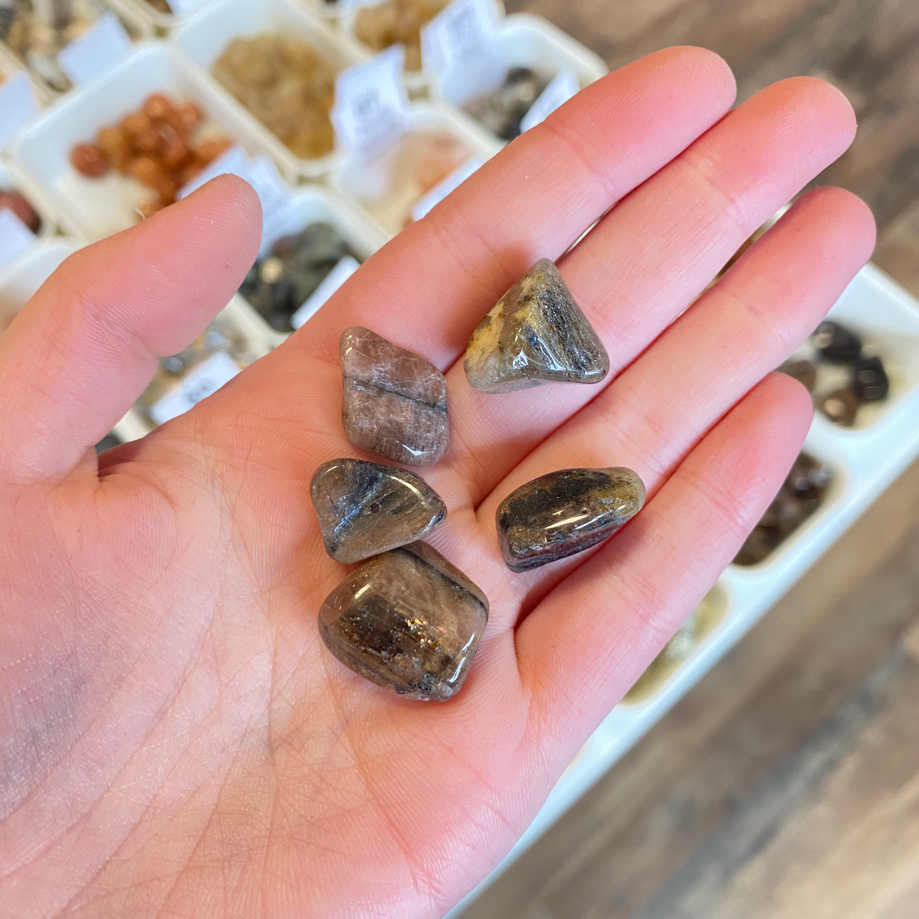 Chiastolite (Perserverance) Tumbled White Mountain Crystals