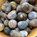 Purple Chalcedony Tumbled Stones - Natural 1/2 to 1 Inch Gemstone Crystals by High Ho Gems High Ho Gems and Crystals