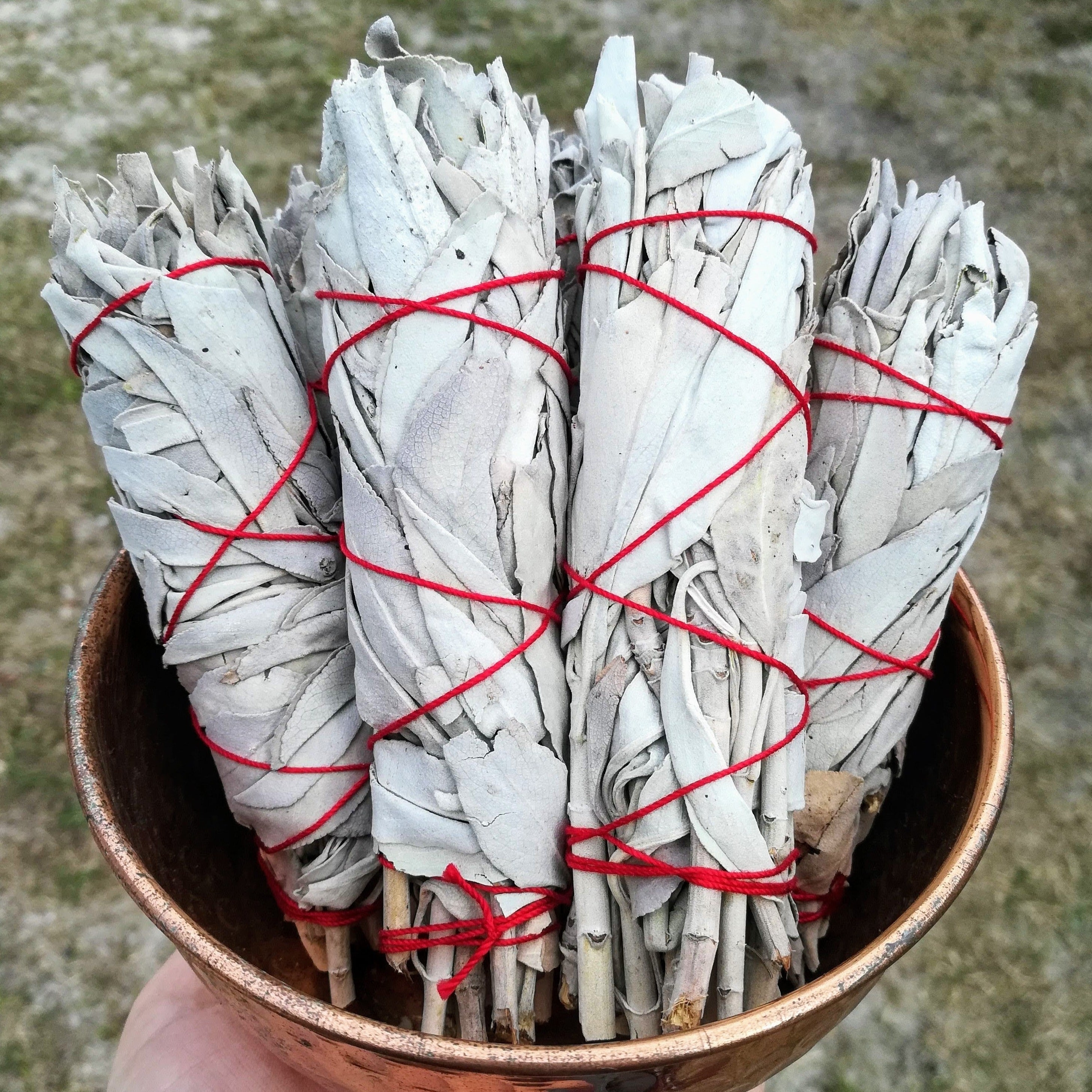 White Sage Bundle | Cleanse & Clear Curious Muse Crystals