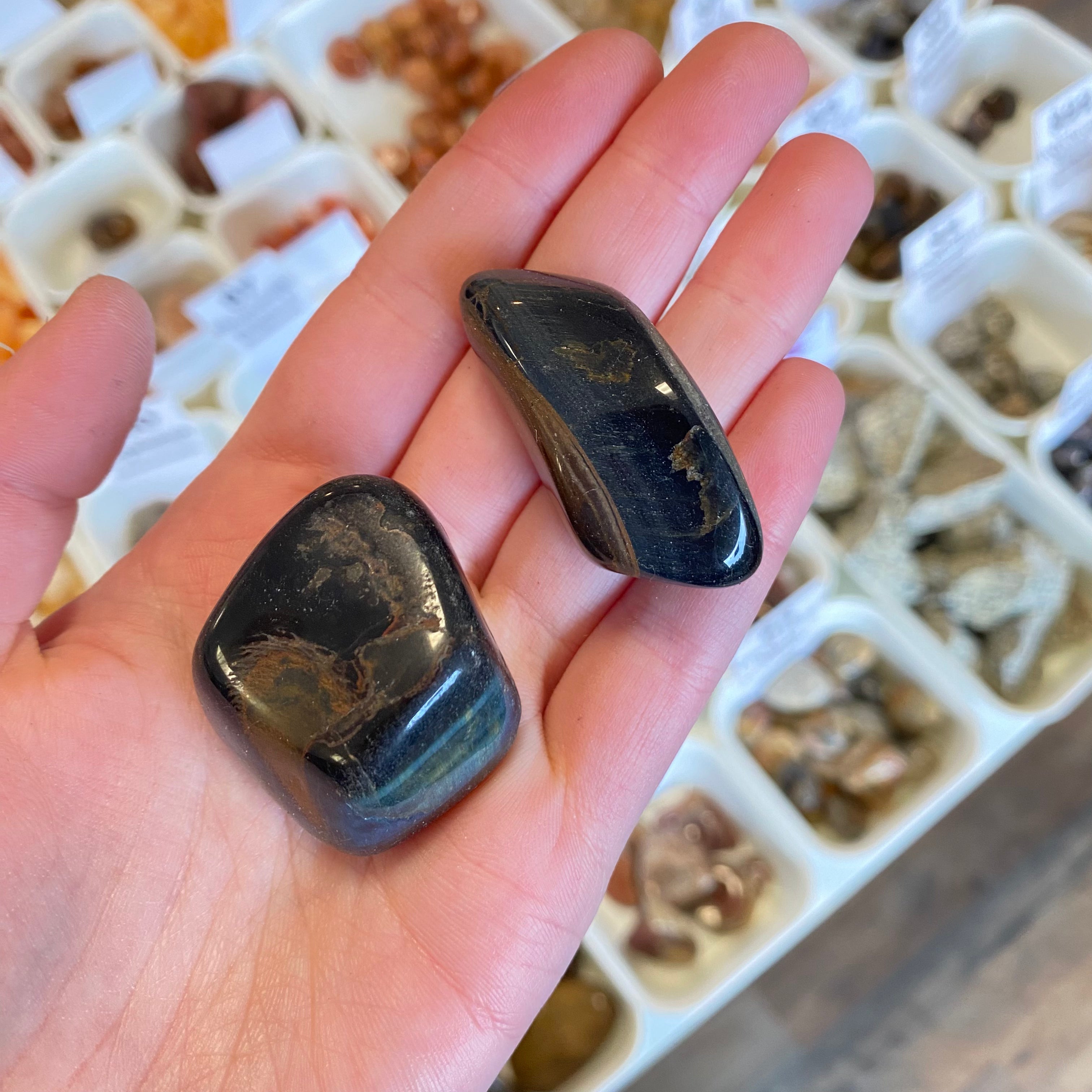 Blue Tigers Eye (Insight & Mental Clarity) Tumbled White Mountain Crystals