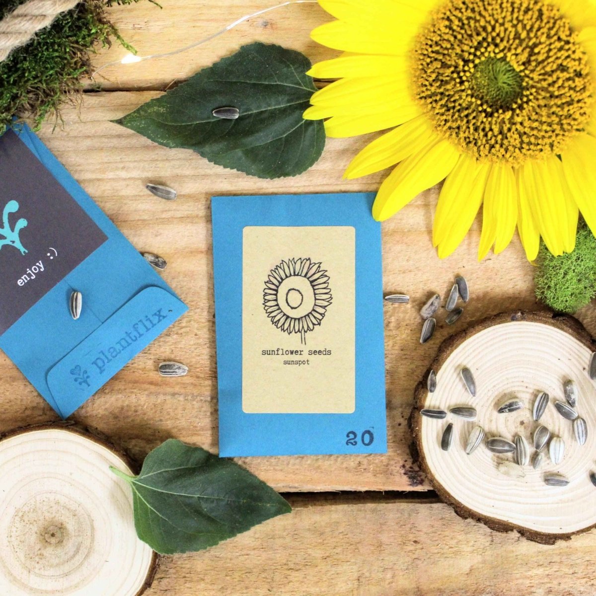 "Indoor Blooms" Seed Collection Plantflix