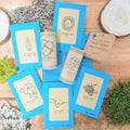 "Indoor Blooms" Seed Collection Plantflix