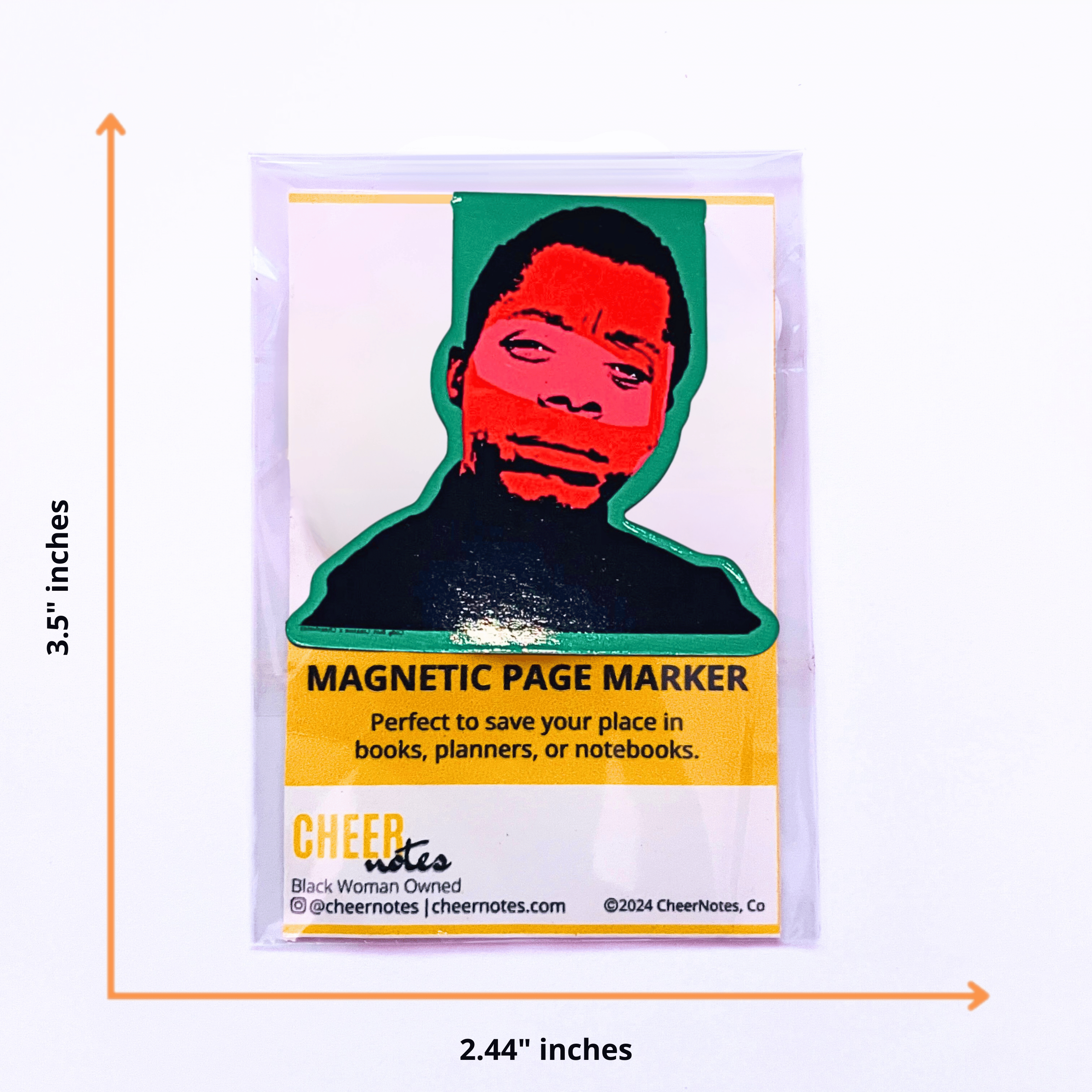 James Baldwin Magnetic Page Marker CheerNotes