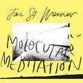 Jan St. Werner - Molocular Meditation | Love Vinyl Records