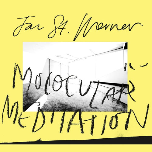 Jan St. Werner - Molocular Meditation | Love Vinyl Records