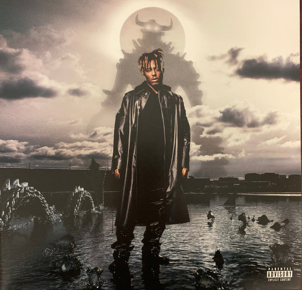 Juice WRLD - Fighting Demons | Mint (M) Mint (M) Love Vinyl Records