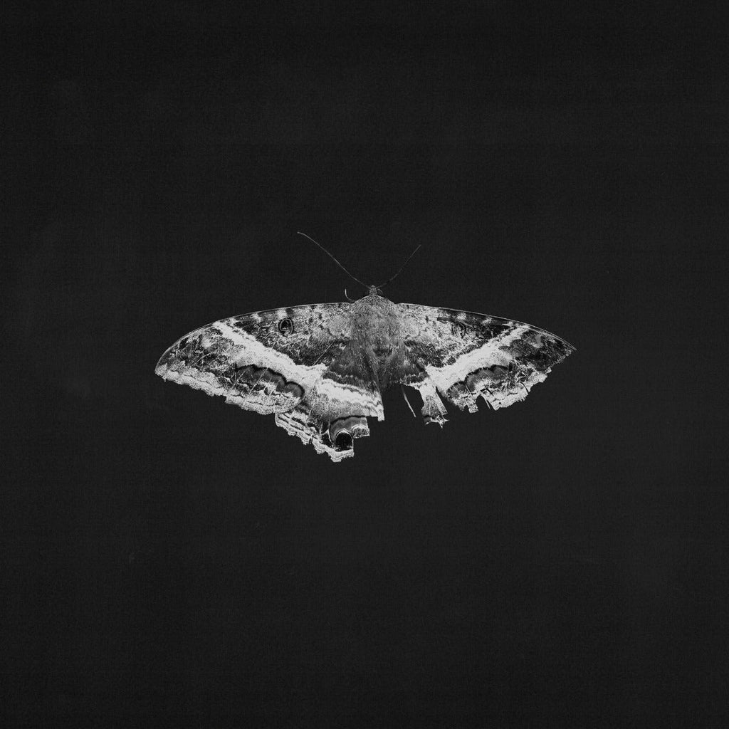 Kendrick Lamar - To Pimp A Butterfly (2 LP 10 Year Anniversary- Alternate Artwork (Black marble Vinyl) | Mint (M) Mint (M) Love Vinyl Records
