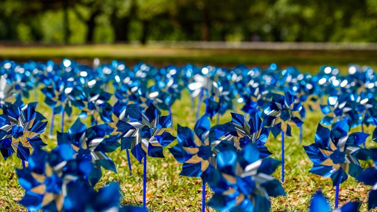Large Blue Pinwheels for Child Abuse Prevention The Awareness Company