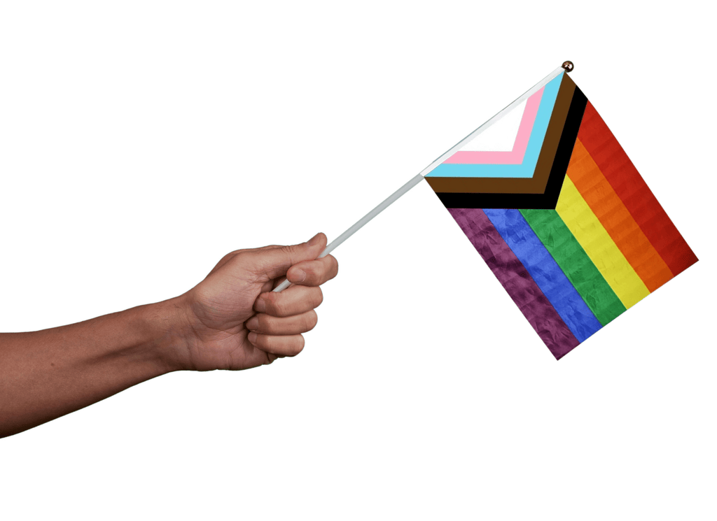 Large Daniel Quasar Flags on a Stick The Awareness Company