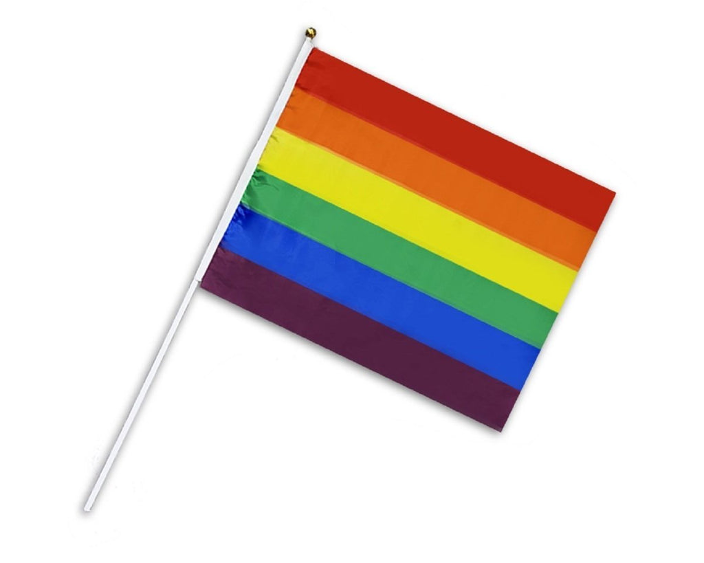 Large Rainbow Flags on a Stick The Awareness Company