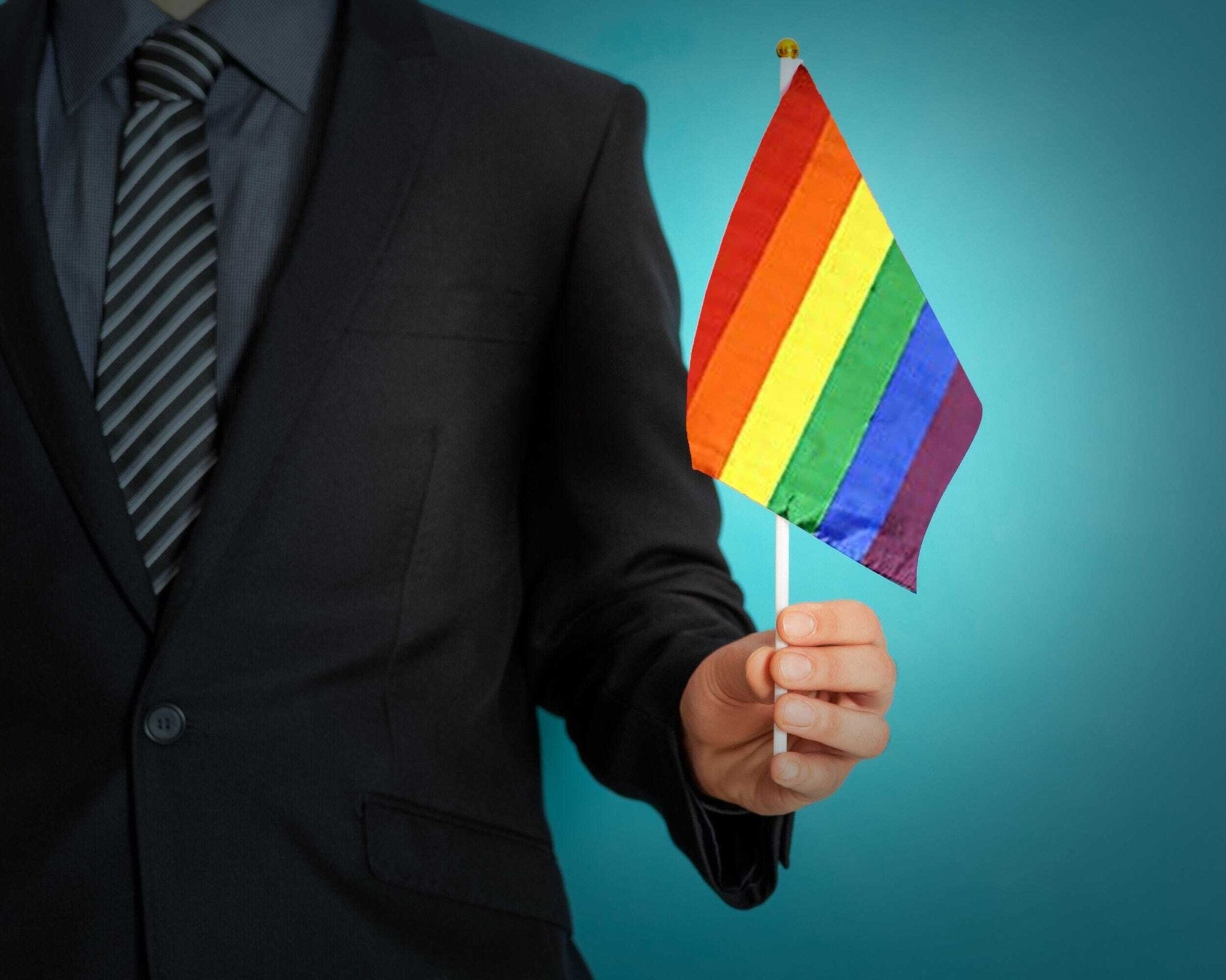 Large Rainbow Flags on a Stick The Awareness Company