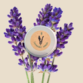 Lavender Seeds Plantflix
