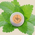 Lemon Balm Seeds Plantflix