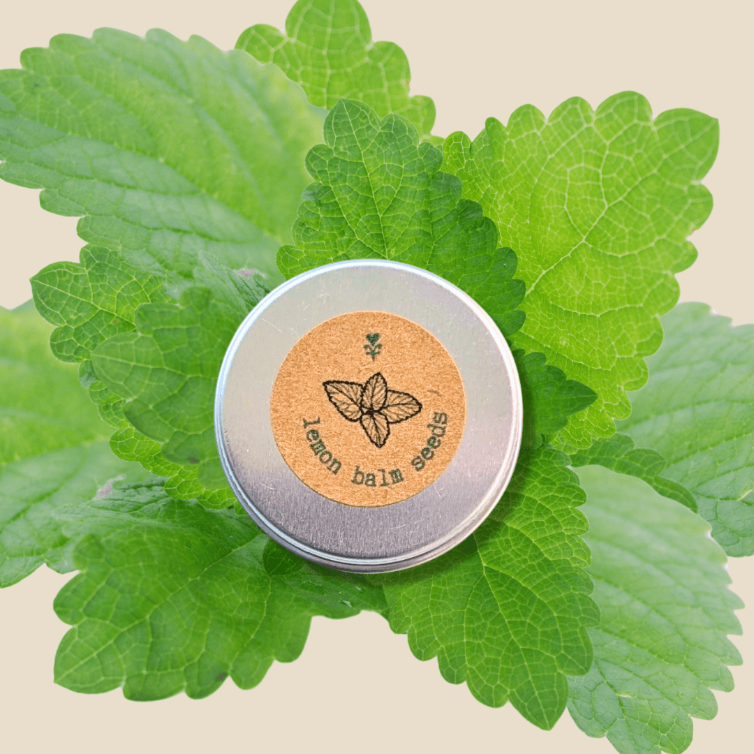 Lemon Balm Seeds Plantflix