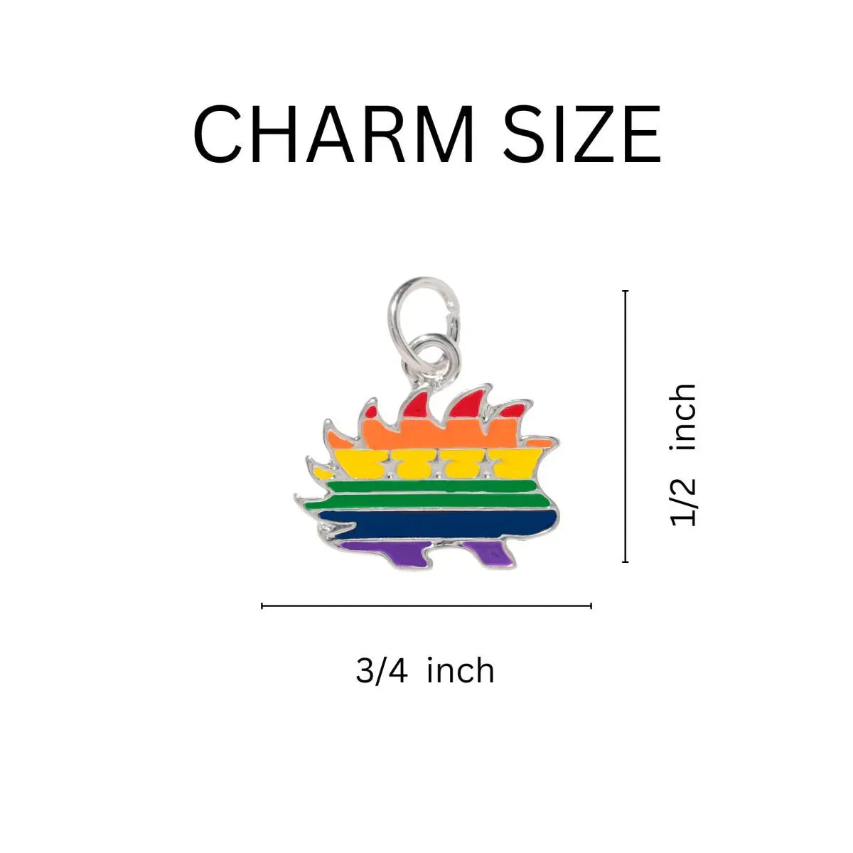 Libertarian Rainbow Porcupine Black Cord Bracelets The Awareness Company