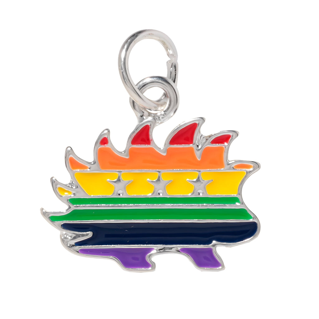 Libertarian Rainbow Porcupine Charms The Awareness Company