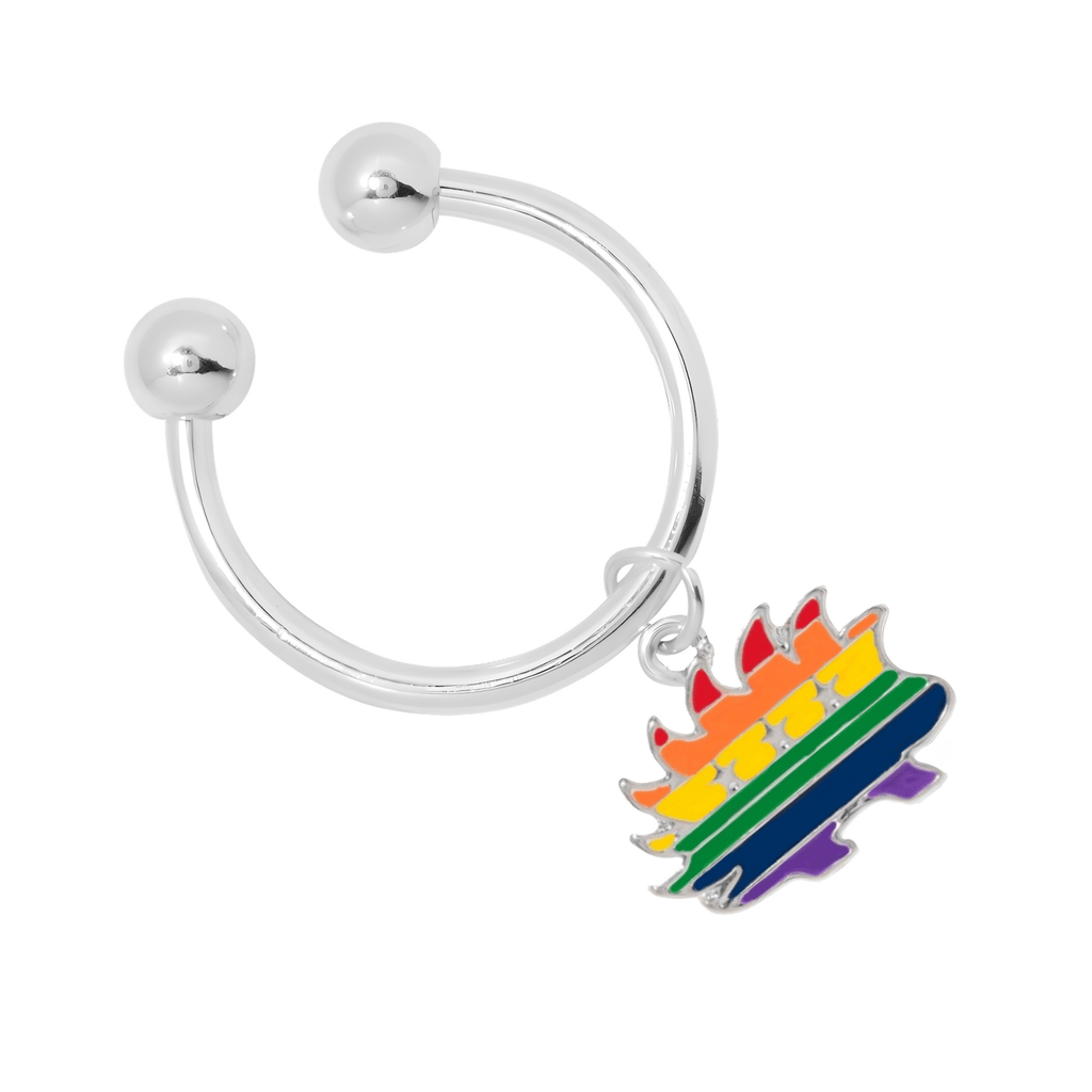 Libertarian Rainbow Porcupine Horseshoe Key Chains The Awareness Company
