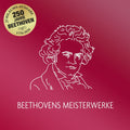 Ludwig Van Beethoven - Beethovens Meisterwerke | Love Vinyl Records