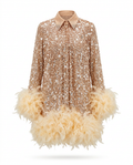 Luminous Sequin Feather Mini Dress Boho Brown