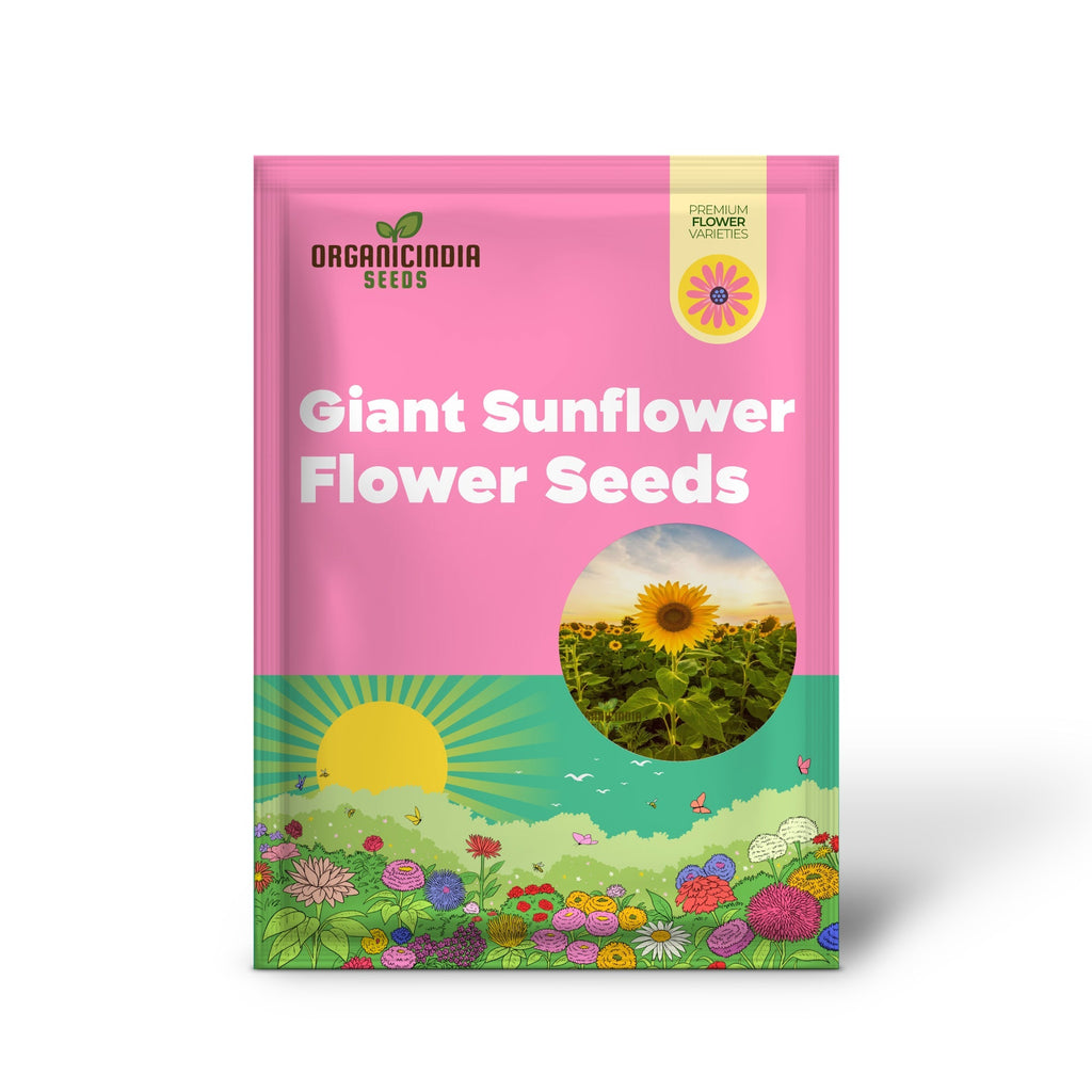 Edible Giant Sunflower Seeds – Grow Mammoth Sunflowers for Backyards, Kids Gardens, Pollinator Spaces & Seed Harvesting organicindiaseeds
