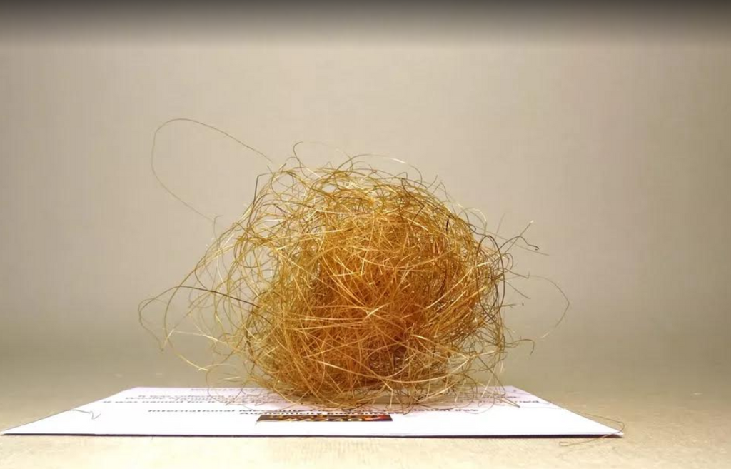 2g Woolly Mammoth Hair Large Real Fossil Fur Sample Tuft Clump rocksolidfossils