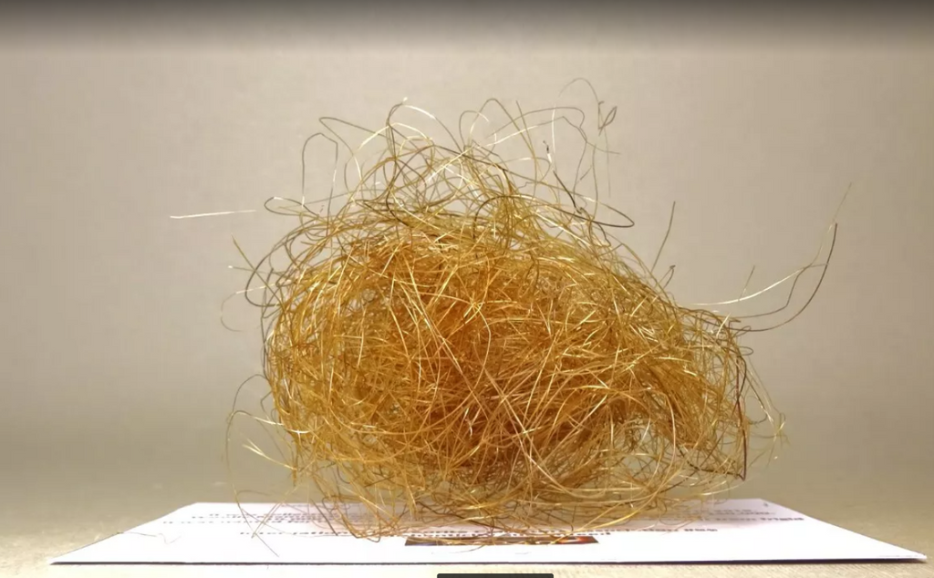 2g Woolly Mammoth Hair Large Real Fossil Fur Sample Tuft Clump rocksolidfossils