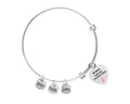 Mom Breast Cancer Awareness Heart Charm Pink Ribbon Retractable Bracelets The Awareness Company