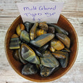 Multicolored Tigers Eye Tumbled Stones for Courage, Luck, and Mind Focus - 7 Energetic Benefits High Ho Gems and Crystals